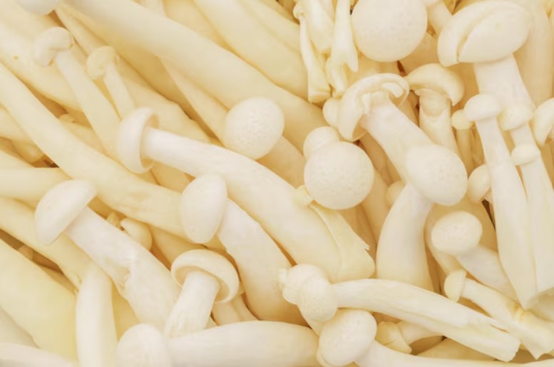 Cordyceps (Whole Mushroom)